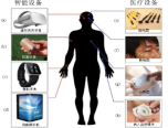 梯子游戏
