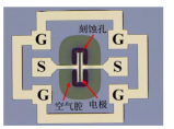 梯子游戏